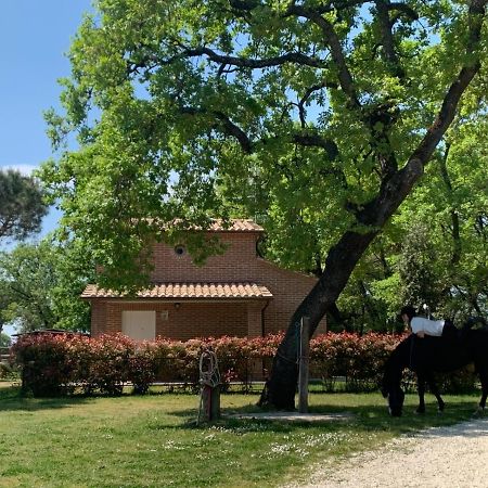Casina Miriano Villa Castiglione del Lago Bagian luar foto
