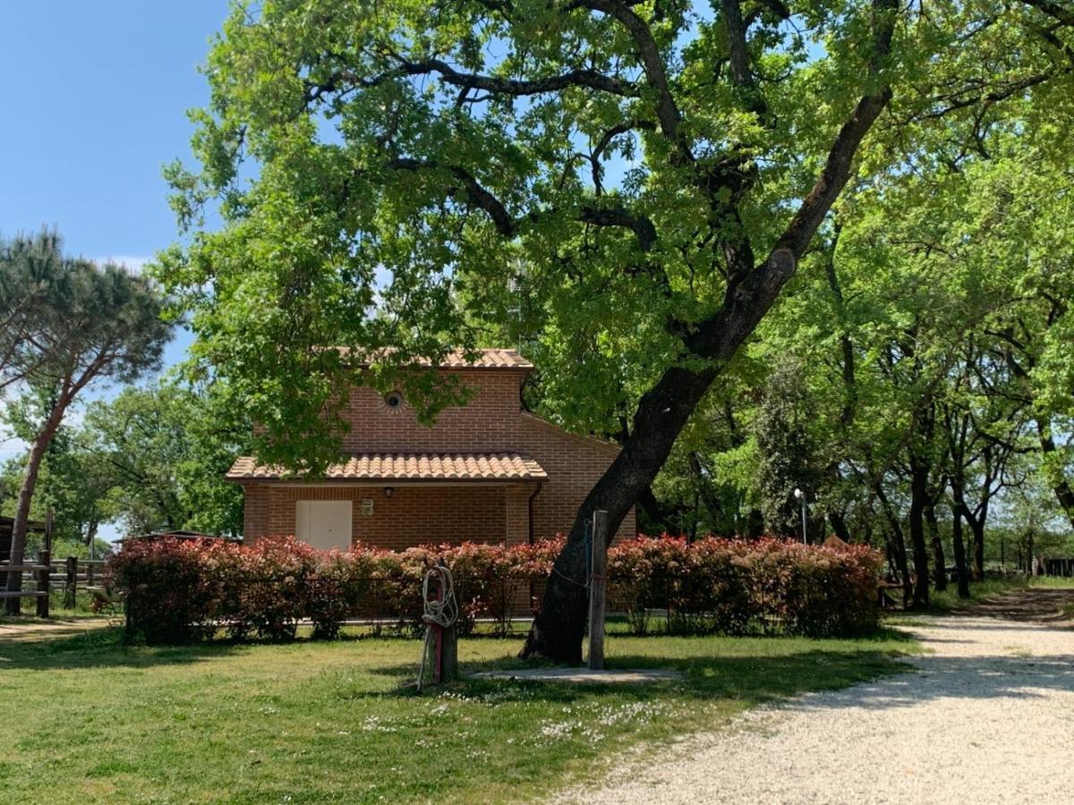 Casina Miriano Villa Castiglione del Lago Bagian luar foto